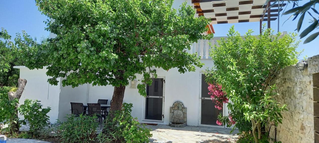 Villa Beloussi Zakynthos Kypseli Ngoại thất bức ảnh